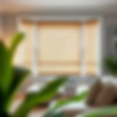 Magnificent Comprehensive Guide to 59 x 47 Blinds: Selecting, Installing, and Maintaining Magnificent Comprehensive Guide to 59 x 47 Blinds: Selecting, Installing, and Maintaining