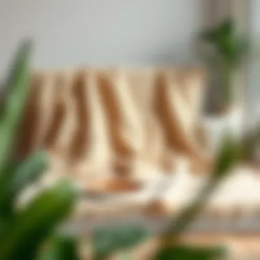 Magnificent Exploring the Canvas Zone Blanket: Function, Design, and Practical Uses