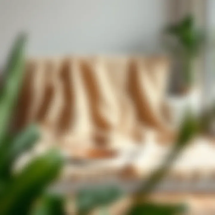 Magnificent Exploring the Canvas Zone Blanket: Function, Design, and Practical Uses