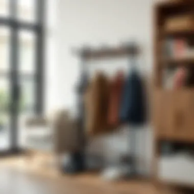 Magnificent Exploring the Functionality and Design of Coat Hanger Shoe Racks
