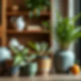 A Comprehensive Guide to Buying Pots: Essential Insights for Informed Choices Introduction
