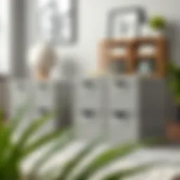 Comprehensive Analysis of 20 x 20 Storage Boxes: Optimizing Space and Style Introduction
