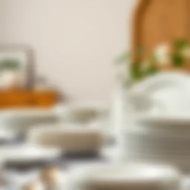 Comprehensive Guide to Dinner Plates in Bulk: Selection and Considerations Introduction Comprehensive Guide to Dinner Plates in Bulk: Selection and Considerations Introduction