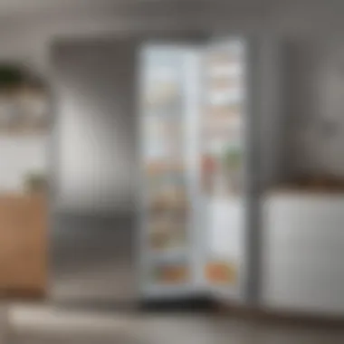 Energy-efficient tall narrow refrigerator showcasing energy label