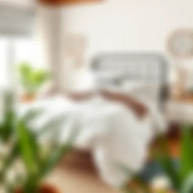 Care Tips for Longevity of Comforters Essential care tips for maintaining comforters