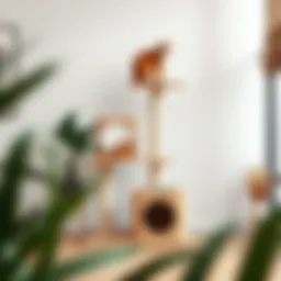 Elegant modern cat tree with feeding station integrated