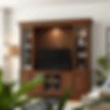 Exploring the Enclosed Entertainment Cabinet: Design, Functionality, and Aesthetic Appeal Introduction