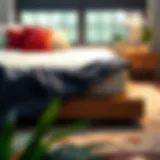 Exploring the Whole Mattress Cover: Comprehensive Insights Introduction