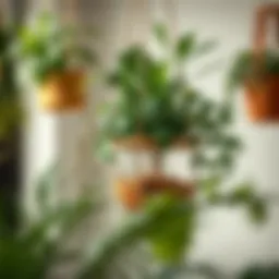 Exploring the World of Hanging Plant Containers Introduction