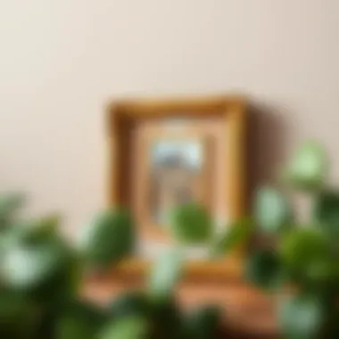 Exploring the World of Miniature Frames: A Comprehensive Guide Introduction Exploring the World of Miniature Frames: A Comprehensive Guide Introduction