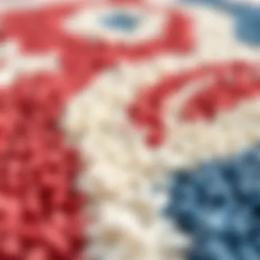 Close-up of fabric texture of red, white, and blue bathroom rug