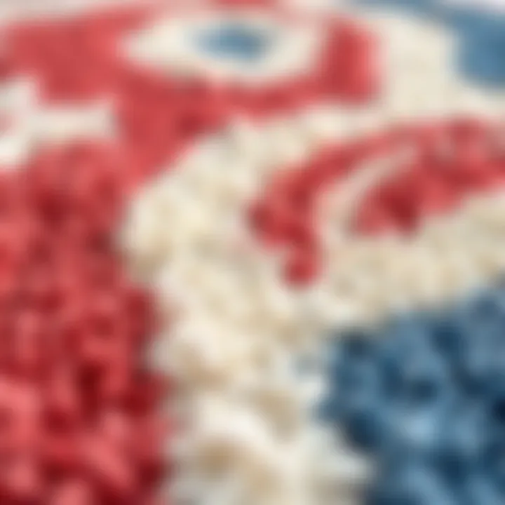 Close-up of fabric texture of red, white, and blue bathroom rug