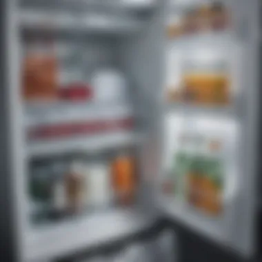 Close-up of ice maker compartment in a tall narrow refrigerator