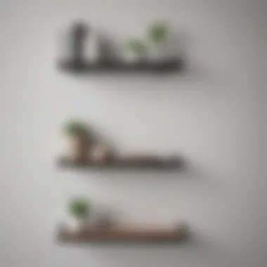 Sleek Wall-Mounted Shelving Sleek wall-mounted shelving for modern spaces