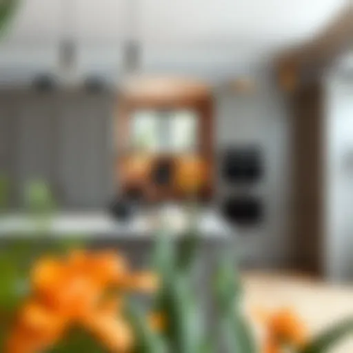 The Allure of Grey Colour Kitchens Introduction