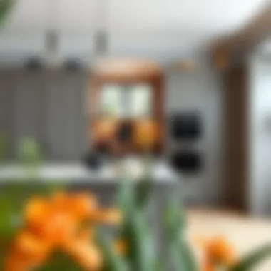 The Allure of Grey Colour Kitchens Introduction The Allure of Grey Colour Kitchens Introduction