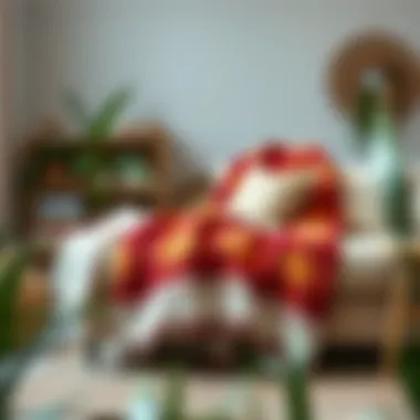 Notable The Distinction and Functionality of Blankets and Throws in Home Decor