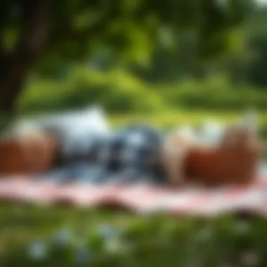 The Essential Guide to Choosing a Lightweight Picnic Blanket Summary The Essential Guide to Choosing a Lightweight Picnic Blanket Summary