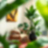 The Large Corner Plant: A Statement of Greenery in Design Introduction