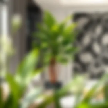 Notable The Large Corner Plant: A Statement of Greenery in Design