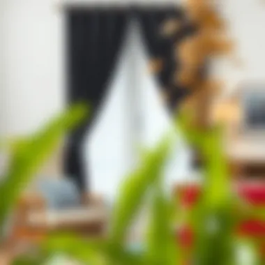 Notable The Versatility of Black Curtains for Windows Notable The Versatility of Black Curtains for Windows
